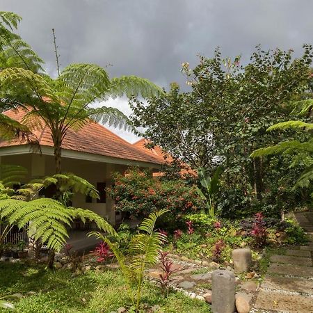 Ara Garden Inn, Accommodation, Yoga Studio & Spa Рутенг Екстериор снимка